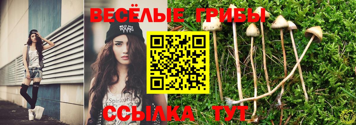 Кубинка  Псилоцибиновые грибы Psilocybine cubensis  Вход с VPN  Псилоцибиновые грибы мицелий 